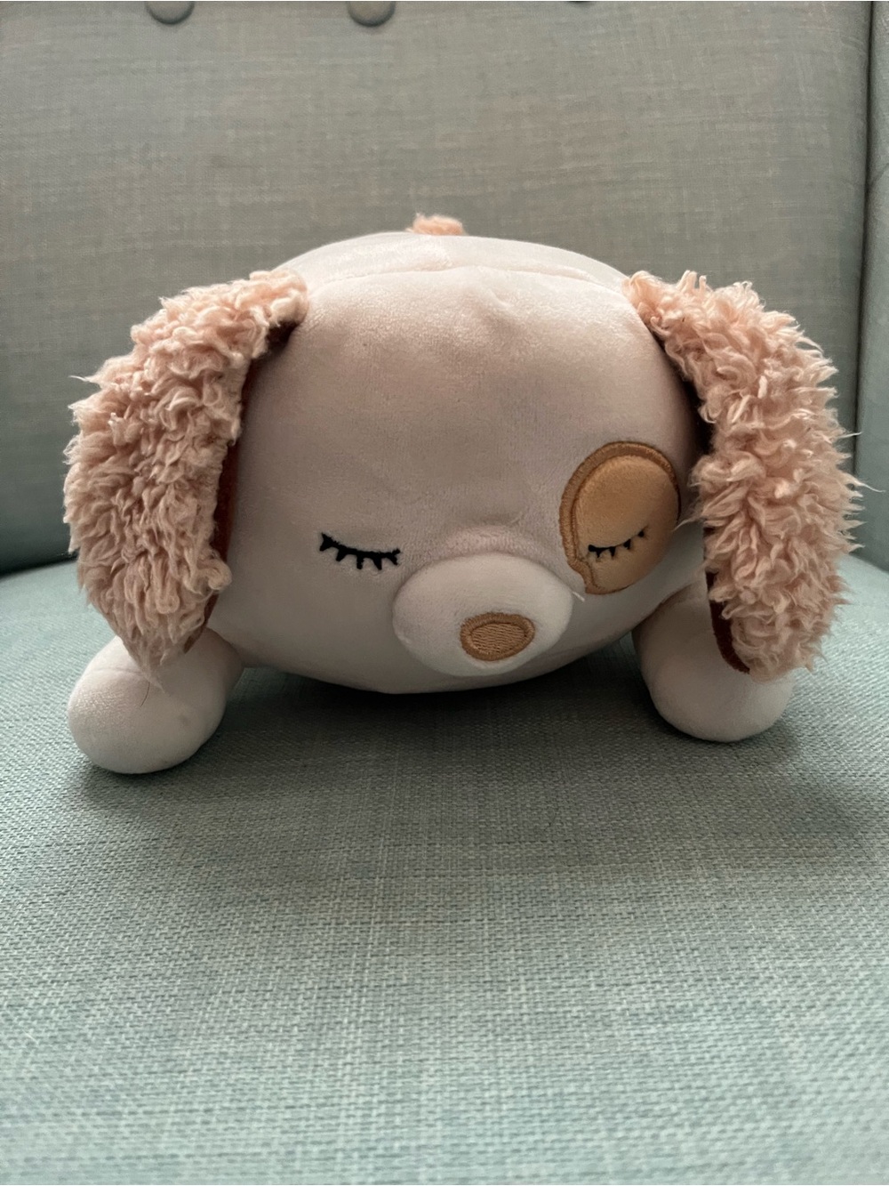 Squishmallow Sleeping Puppy Dog Plush